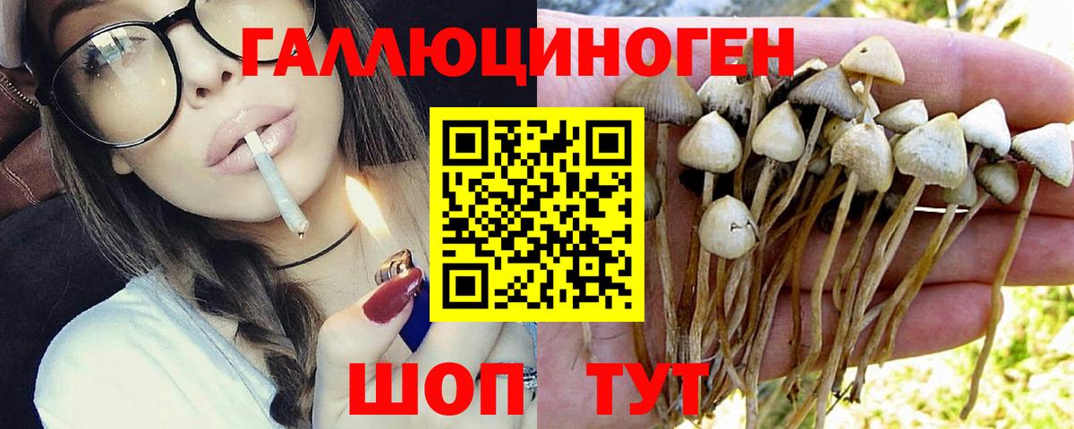 Галлюциногенные грибы прущие грибы  Вход с VPN  Абинск 